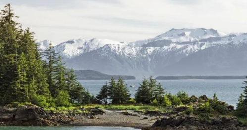 A serene landscape featuring snow-capped mountains, lush green trees, and a calm body of water under a clear sky.