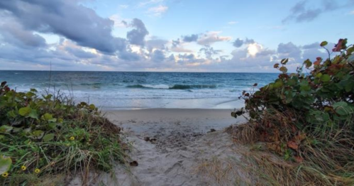 A sandy path leads to a tranquil beach with gentle waves and a cloudy sky.