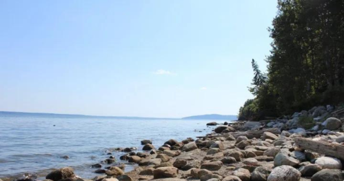 A serene shoreline with smooth stones, calm water, and trees under a clear blue sky.