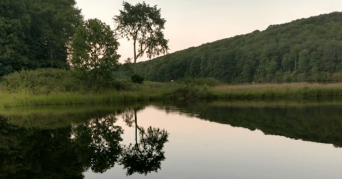 A serene landscape featuring a calm lake reflecting trees and hills at dusk.