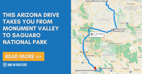 Map showing a driving route from Monument Valley to Saguaro National Park in Arizona, with travel time noted.