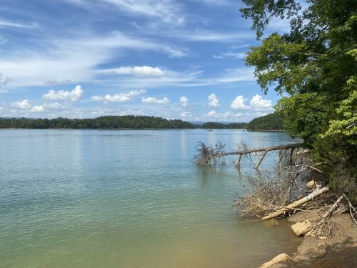 A serene lake scene with clear water, lush greenery, and a blue sky dotted with clouds.