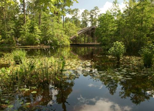A serene pond surrounded by lush greenery and trees, with a wooden structure in the background reflecting on the water.
