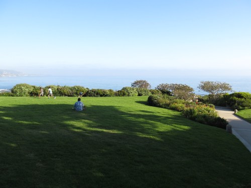 A grassy area overlooking the ocean, with a few people enjoying the view on a clear day.