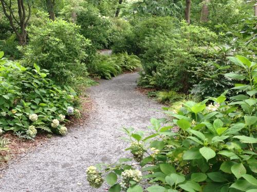 A winding gravel path surrounded by lush greenery and blooming flowers in a serene garden setting.
