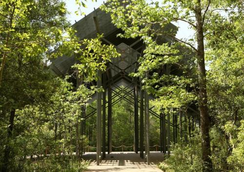 A modern structure with a metal frame surrounded by lush greenery and trees, creating a serene outdoor space.