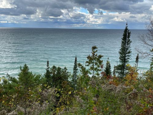 A serene view of the ocean with waves, surrounded by trees and colorful foliage under a cloudy sky.