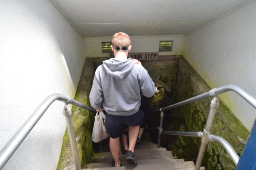 A person in a hoodie descends a moss-covered staircase into a dimly lit area, holding a bag.
