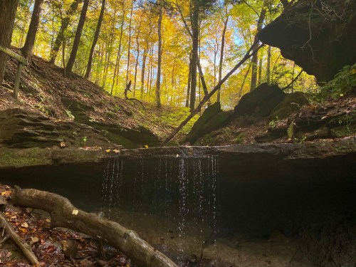 A serene forest scene with a small waterfall cascading over rocks, surrounded by colorful autumn foliage.