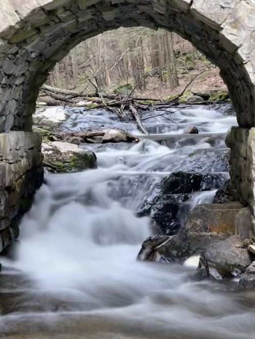 A serene stream flows under a stone arch bridge, surrounded by lush greenery and rocky terrain.