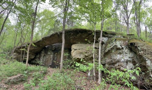 A large rock formation with an arch, surrounded by lush green trees and foliage in a forested area.