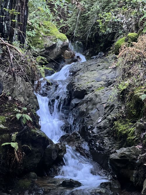 A serene waterfall cascading over rocky terrain, surrounded by lush greenery and moss.