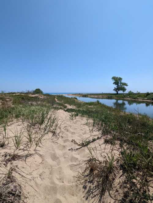 A sandy path leads to a calm waterway under a clear blue sky, with grass and a lone tree in the background.