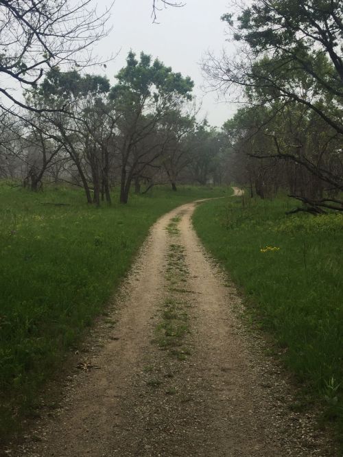 A winding dirt path through a grassy area, lined with trees, under a hazy sky.