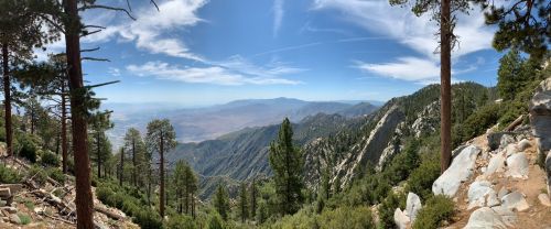 Panoramic view of mountains and valleys, framed by tall pine trees under a blue sky with wispy clouds.