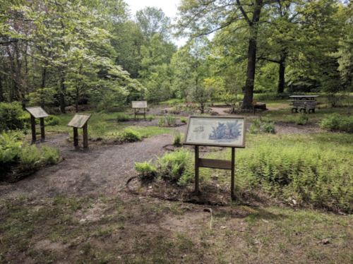 A serene garden path with informational signs surrounded by lush greenery and trees.