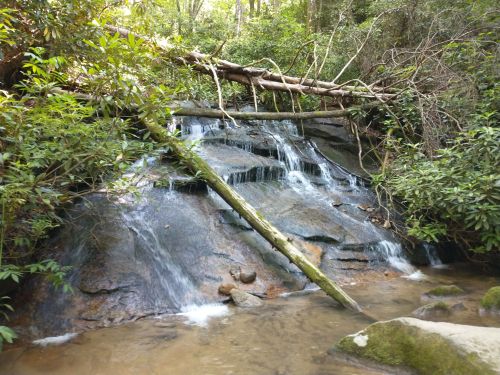 A serene waterfall cascades over rocks, surrounded by lush greenery and fallen branches in a tranquil forest setting.