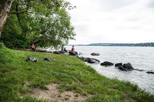 Three people sit by a rocky shoreline under a tree, with a cloudy sky and grassy area in the foreground.