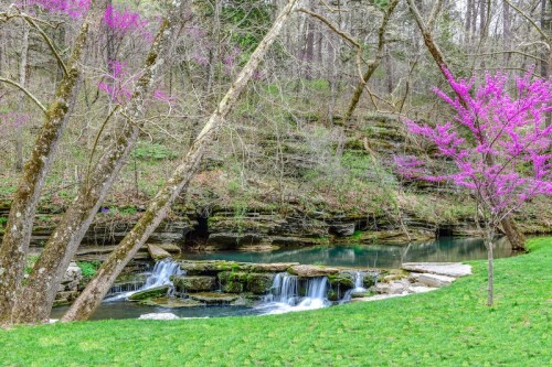 A serene landscape featuring a small waterfall surrounded by lush greenery and blooming pink trees.