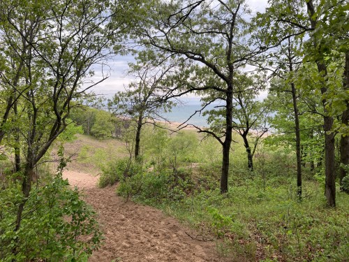 A sandy path winds through lush green trees, leading to a view of a distant lake under a cloudy sky.