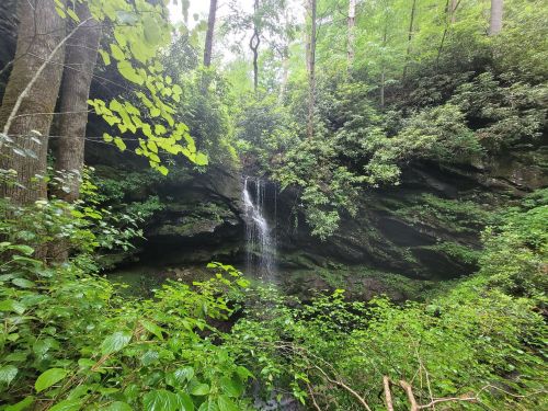 A serene waterfall cascading down rocky cliffs, surrounded by lush green foliage and trees.