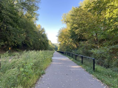 A paved path lined with greenery and trees, leading into the distance under a clear blue sky.