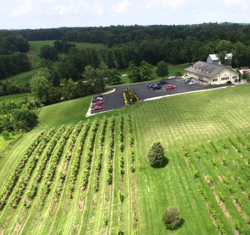 Aerial view of a vineyard with neatly arranged rows of grapevines and a modern building with a parking lot nearby.