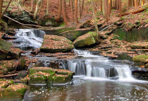 A serene forest scene featuring a cascading waterfall surrounded by moss-covered rocks and autumn foliage.