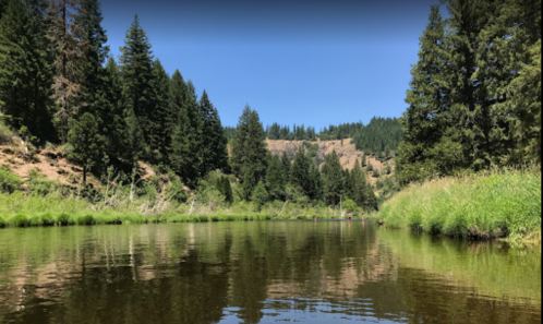 A serene river surrounded by lush green trees and hills under a clear blue sky.