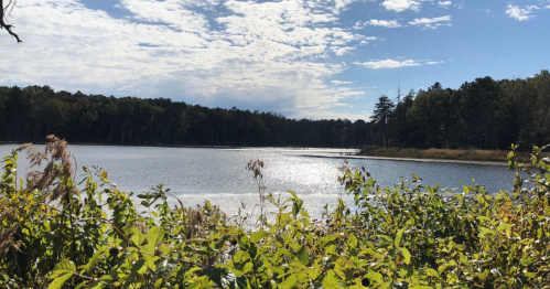 A serene lake surrounded by trees under a partly cloudy sky, with sunlight reflecting on the water's surface.