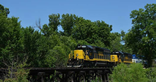 A yellow and black train travels along a wooden bridge surrounded by lush green trees under a clear blue sky.
