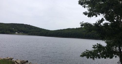 A calm lake surrounded by green hills and trees under a cloudy sky.