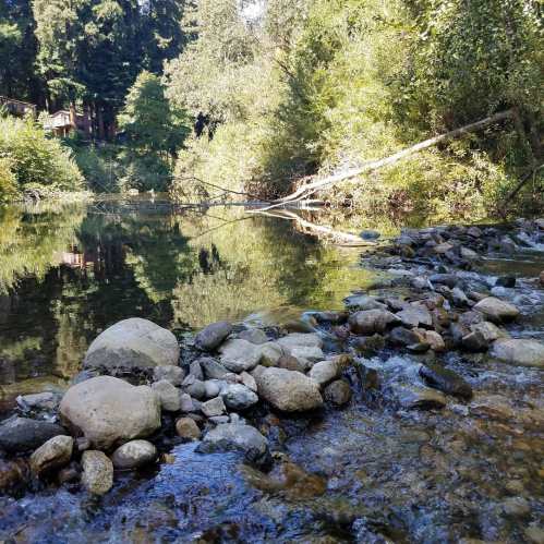 A serene river scene with smooth stones in the foreground and lush greenery reflected in the calm water.