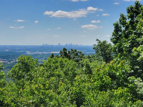 A panoramic view of a city skyline in the distance, framed by lush green trees under a clear blue sky.
