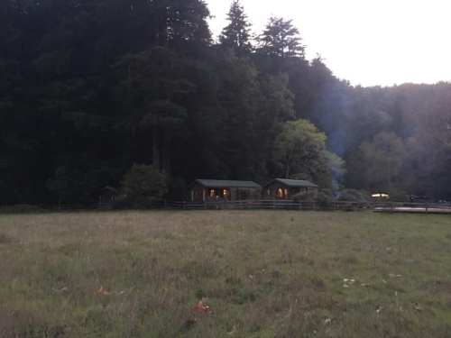 A serene landscape featuring two cabins nestled among trees at dusk, with a grassy field in the foreground.