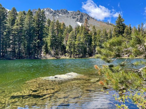 A serene lake surrounded by tall pine trees and mountains under a clear blue sky. A rock is visible in the water.