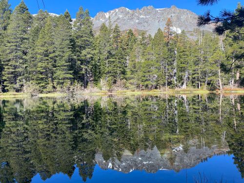 A serene lake surrounded by tall pine trees, reflecting mountains and a clear blue sky.