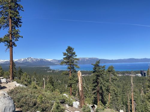 A scenic view of Lake Tahoe surrounded by pine trees and mountains under a clear blue sky.
