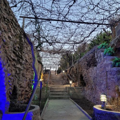 A stone pathway leads upward through a vine-covered archway, illuminated by soft lights in a serene outdoor setting.