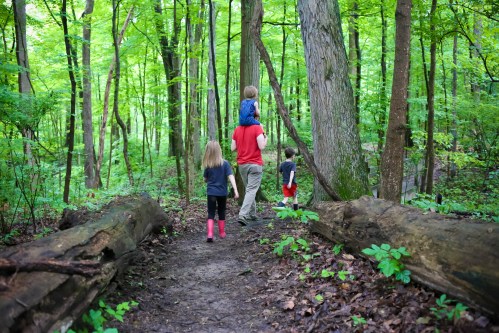 A person carries a child on their shoulders while walking with two kids through a lush green forest trail.