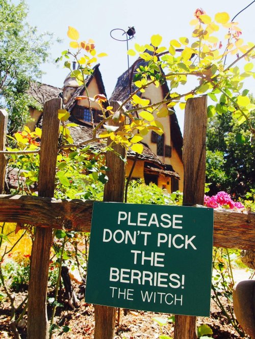 A wooden fence with a sign reading "Please don't pick the berries! The witch" in front of a charming house and greenery.
