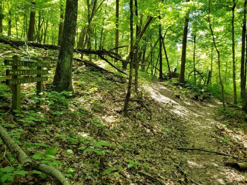 A wooded trail with a signpost indicating paths for Lost Loop Trail, Maple Grove Trail, and Multi-Use Section.