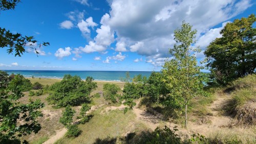 A scenic view of a beach with trees and dunes under a blue sky with fluffy clouds.