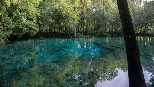 A serene, clear blue spring surrounded by lush green trees and reflections on the water's surface.