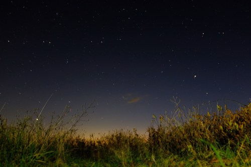 A night sky filled with stars above a grassy field, with a faint horizon glow in the distance.