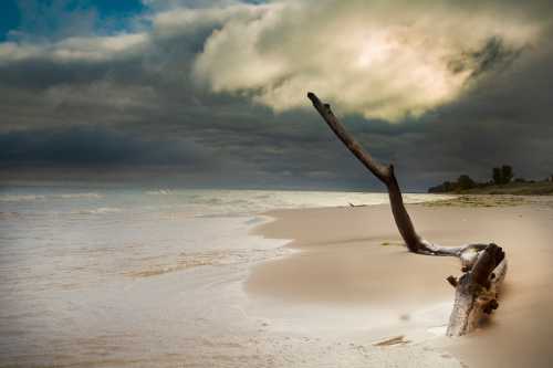 A serene beach scene with a weathered log on the sand, under a dramatic sky filled with clouds.