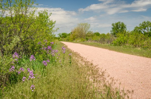 A gravel path lined with green shrubs and purple wildflowers under a blue sky with scattered clouds.