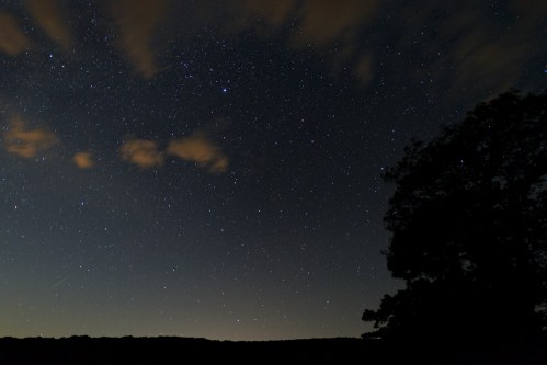 A night sky filled with stars and scattered clouds, with a silhouette of a tree in the foreground.