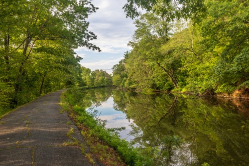 A serene river scene with lush green trees reflecting in calm water beside a paved path.