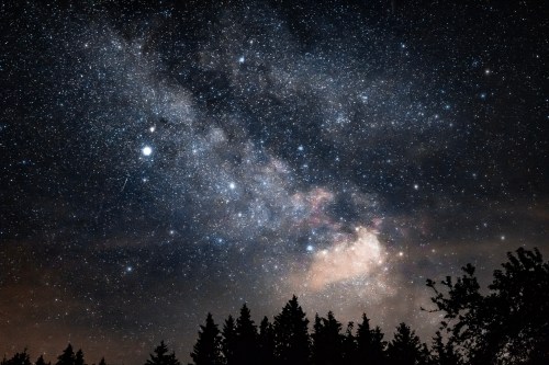 A starry night sky filled with stars and the Milky Way, silhouetted by dark tree silhouettes at the bottom.